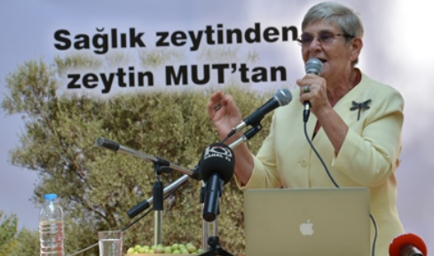 Canan Karatay Mut Zeytini