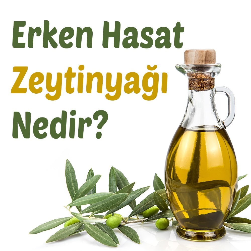 Erken Hasat Zeytinyağı Nedir ?