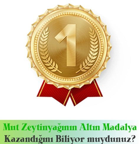 Mut Zeytinyağı Markaları